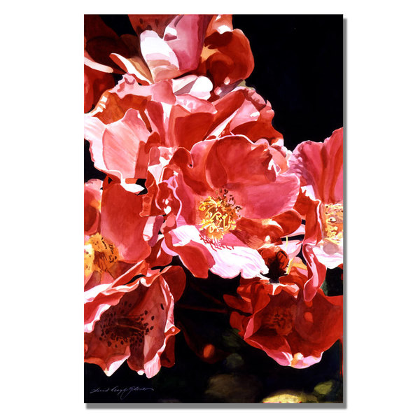 Trademark Fine Art David Lloyd Glover 'Wild Roses' Canvas Art, 22x32 DLG0201-C2232GG